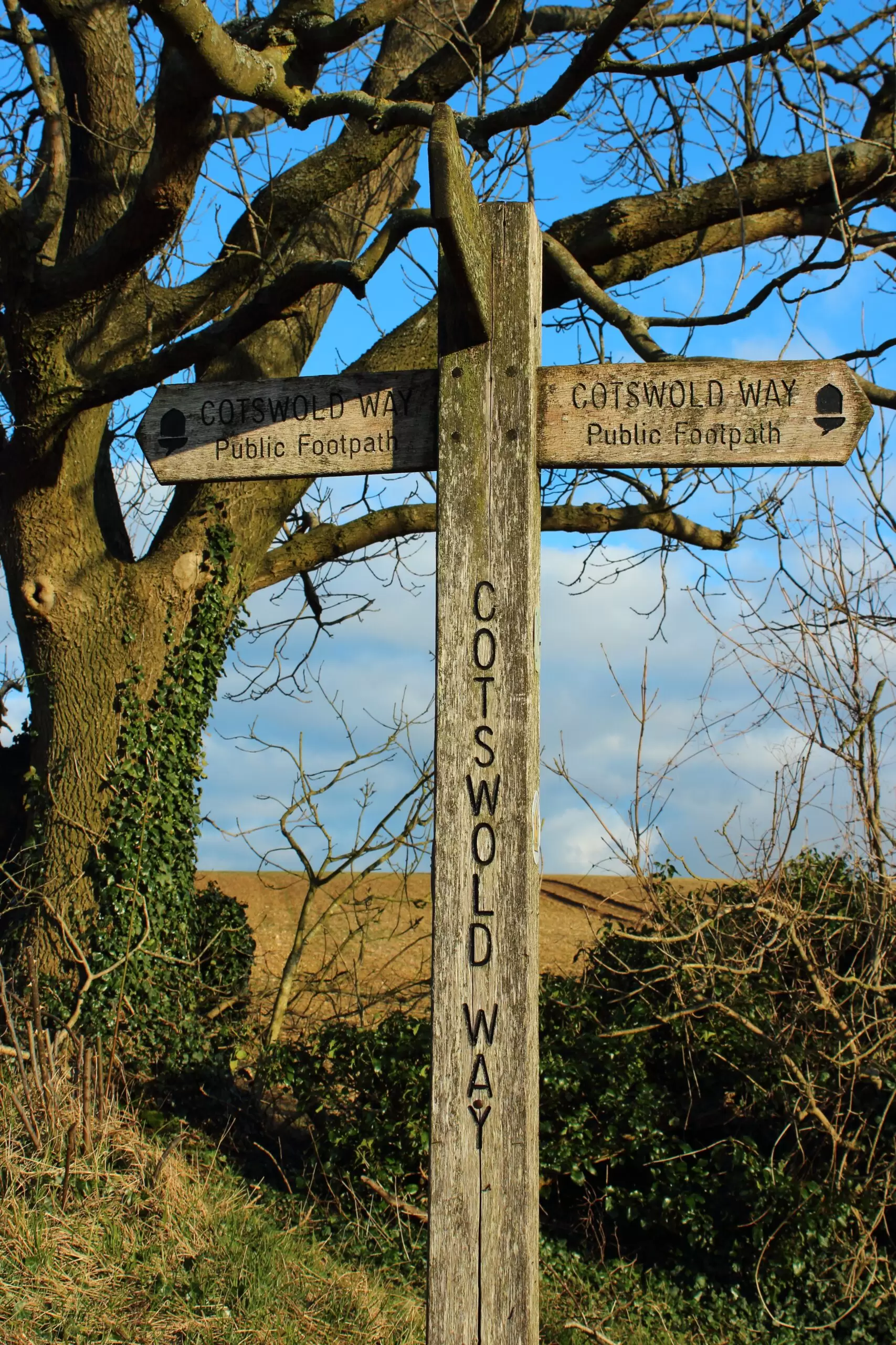 The Cotswold Way